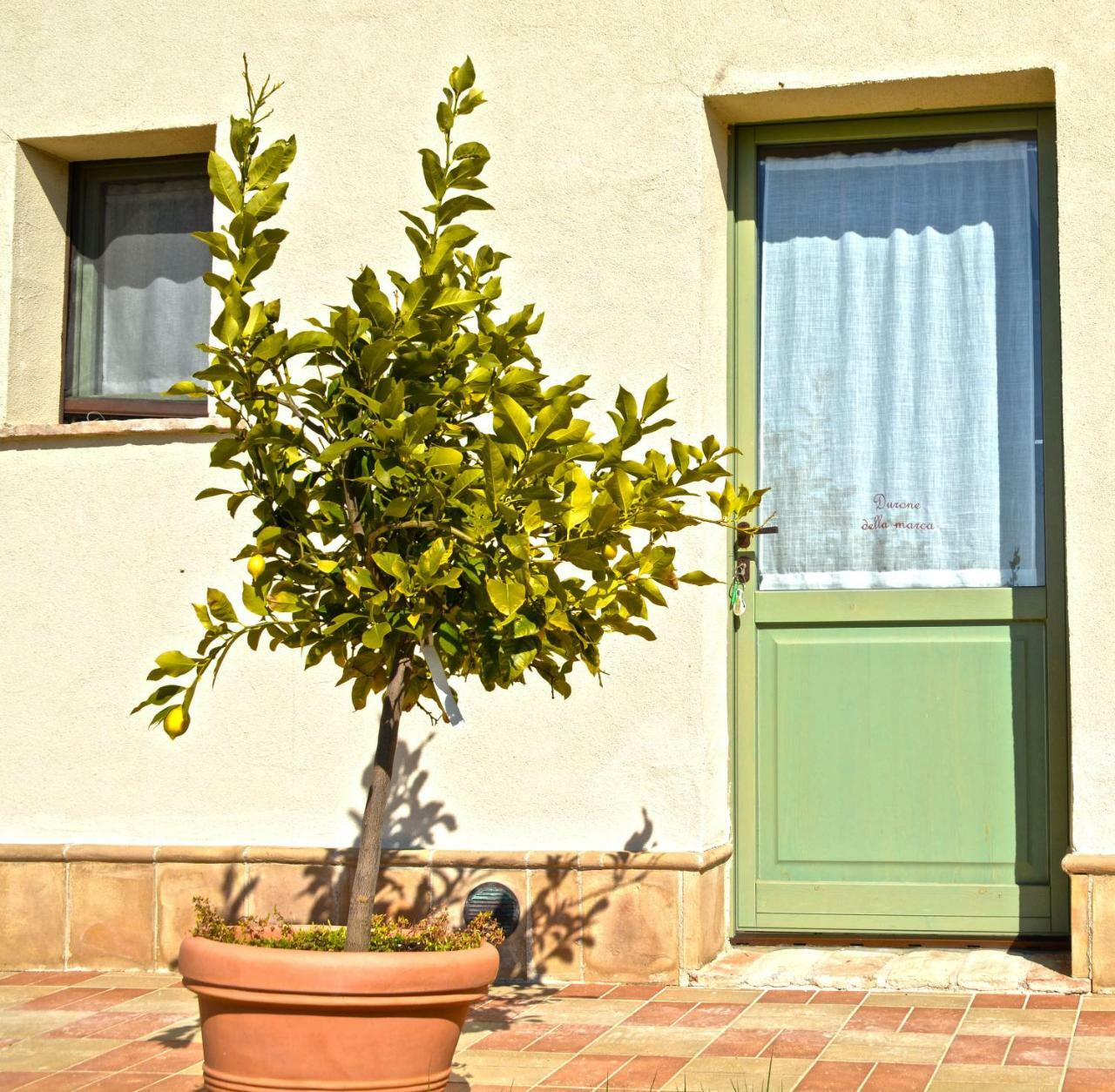 B&B Ceresà - Country House Loreto Extérieur photo