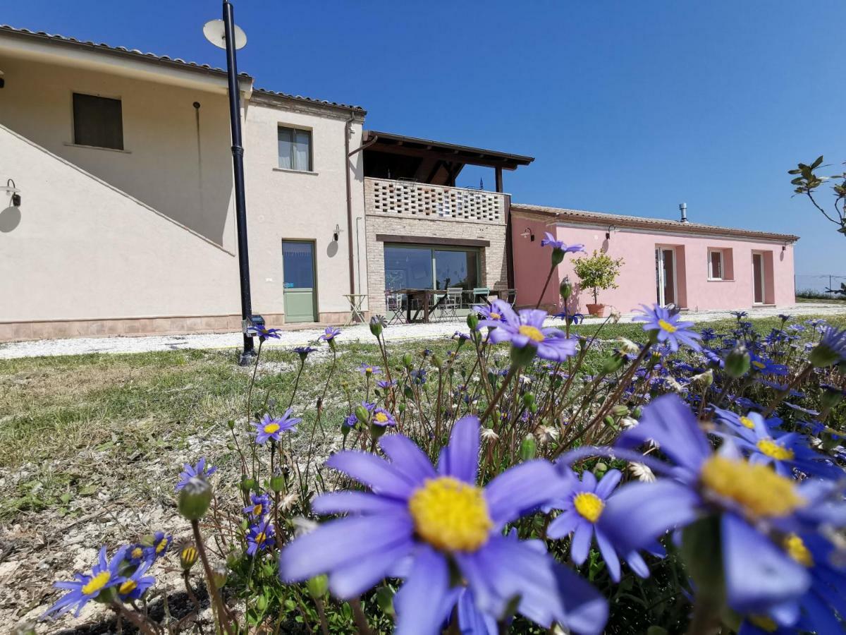 B&B Ceresà - Country House Loreto Extérieur photo